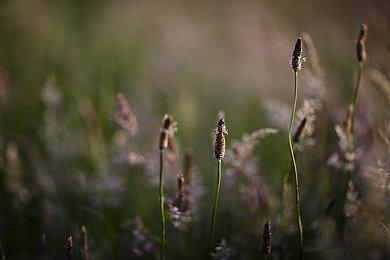 爆料称《星球大战：日蚀》还有至少3-4年才会发售